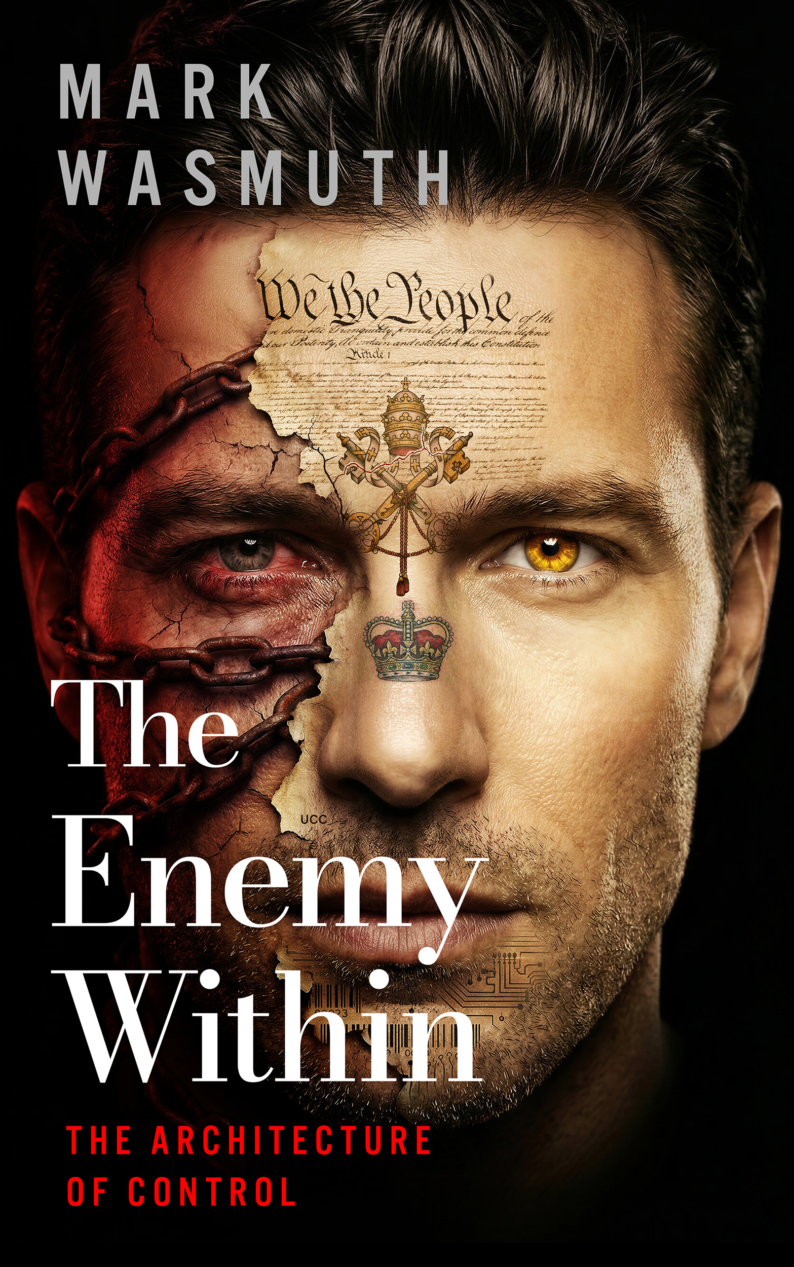 The Enemy Within book cover